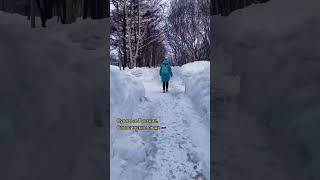 #sakhalin #сахалин #okha #оха #russia #россия #winter