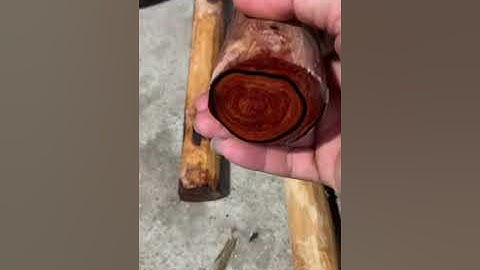 30kg cẩm tươi đẽo tròn 3, đến 5 dài 35 tới 80