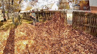 LITTLE Giant Leaf CLEANUP MASSIVE Amounts of LEAVES in Small Backyard