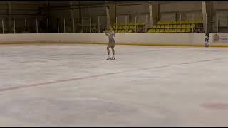 Ekaterina Raiskaia Клинский Лёд 02.02.2020 2Nd Place, Gold, Fp