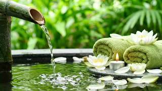 Mindful Piano Music • Still Pond Bamboo Fountain with Gentle Water Sounds and Restful Piano Music