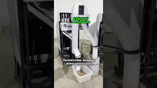 Промислове лущення волоського горіха #волоськийгоріх #горіхи #україна