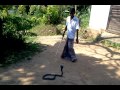 Shri Lanka. Snakes farm.