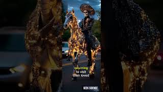 Day Of The Dead Whats Really Behind The Scent Of Flowers?