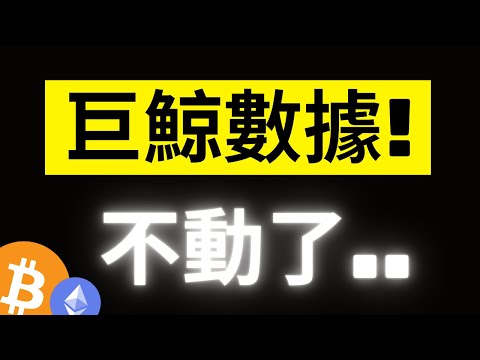 比特幣反彈5000美金後的盤整! 鏈上大鯨魚還在買嗎? 平均持倉成本怎麼升不動了..!? ETH 倒數兩週.. [字幕]