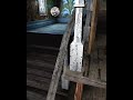 GRANNY CHAPTER 3 || BEST HORROR GAME || #SHORTS || TRENDING || INSHA GAMERZ