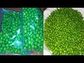 How to store green peas  best dish4u