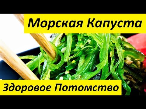 Морская Капуста. Полезные Свойства Морской Капусты - Здоровые Дети