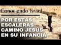 Aquí estuvo Jesús cuando se perdió de sus padres camino a Nazareth.