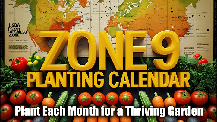 Zone 9 Gardening Calendar: What to Plant Each Month for a Thriving Garden