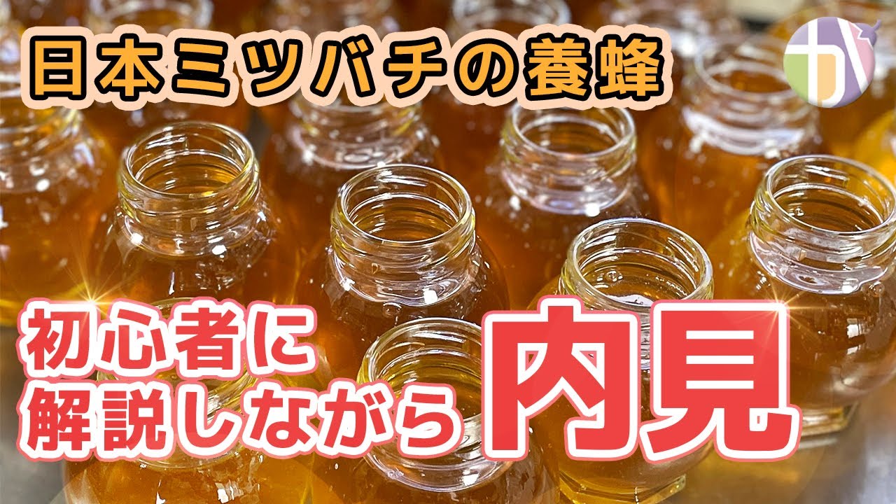 るり様専用 ニホンミツバチのハチミツ1個と盛り上げ巣のハチミツ2個