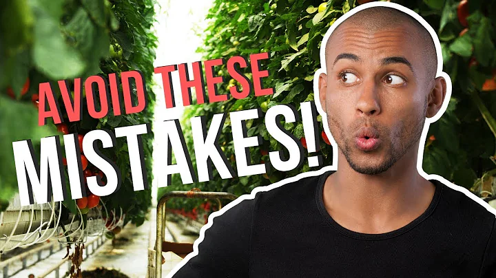 8 Hydroponic Tomato Growing Mistakes to avoid and improve your income