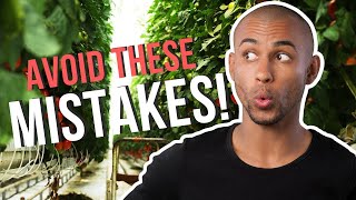 8 Hydroponic Tomato Growing Mistakes to avoid and improve your income