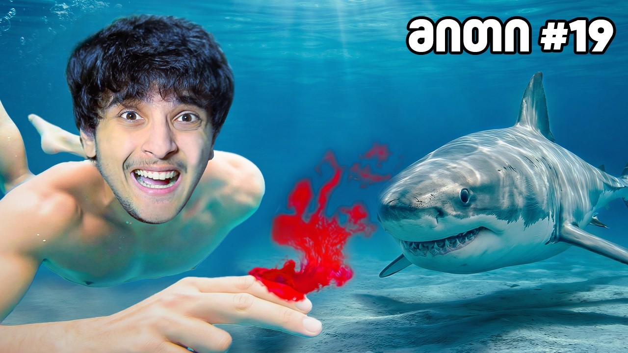 დავამსხვრიე 30 მითი 1 საათში