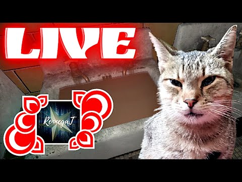 DUCH MA LEPKIE RĘCE! | PHASMOPHOBIA | WYPCHANY LIVE