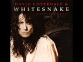 Whitesnake - Don't Fade Away