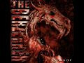 The Berzerker - Animosity - False Hope