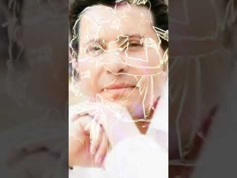 هاني شاكر يا كل العمر يا عمري