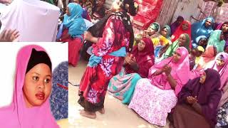 Niiko Shidan F Balbalaarka Caadi Maaha