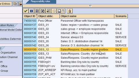 SAP CRM Organization Model