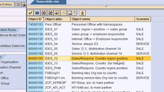 SAP CRM Organization Model