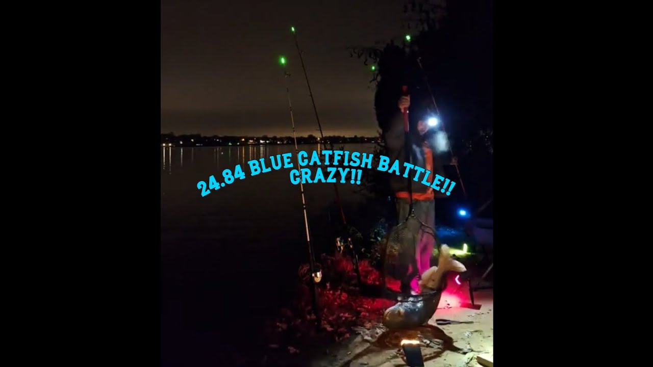 Massive Catfish Battle While LIVE Fishing From The Bank In Tennessee!