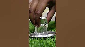How To Drink Tequila Shot With Lime Salt Tequila Viral Shorts 