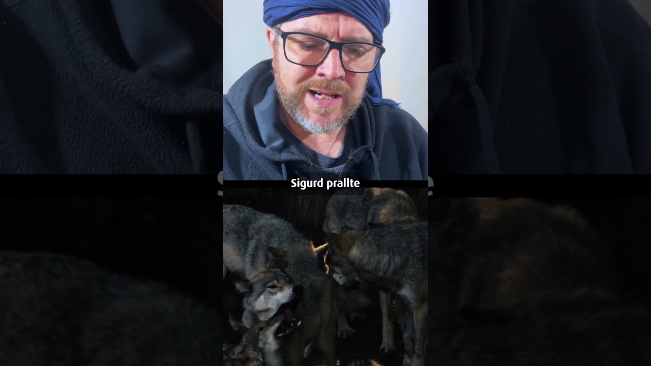 Der Wolf hat zugebissen!