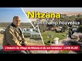 Nitzana  un champ nouveau