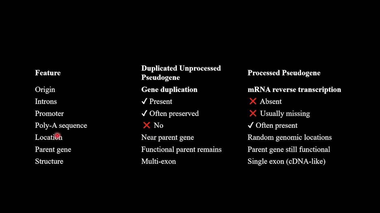 pseudogenes