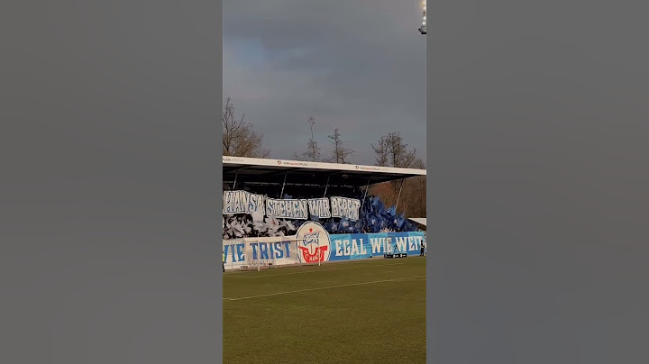 VfB Stuttgart II - Hansa Rostock mit Choreo