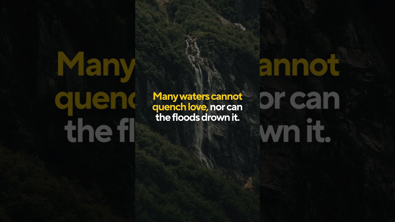 Clean Lofi Piano for Focus 🎹