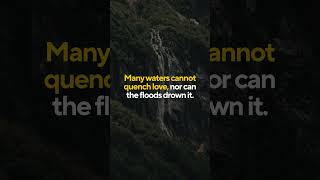 Clean Lofi Piano for Focus 🎹