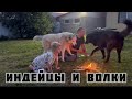 Индейцы, индейка и волк. Вечер с семьёй.