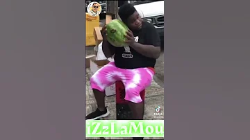 تشبع ضحك يخرج مصطفى ونديرو داي داي 
