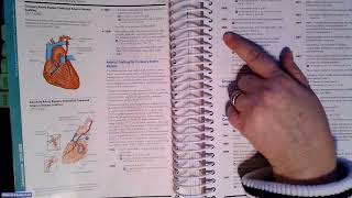 Famous Coronary Artery Bypass Graft (CABG) Coding Net Worth