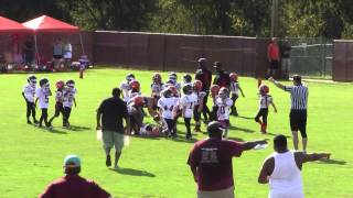 North Brevard Hawks Tiny Mites TD!