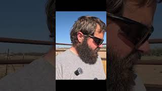 Carma Update - Good News!! 😍🐎🤗