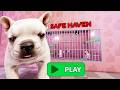 PIBBLE PRISON RUN Obby New Update - Roblox All Bosses Battle FULL GAME Walkthrough All Items #roblox