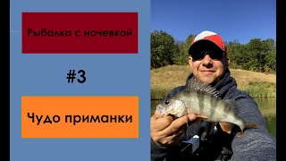 Рыбалка с ночевкой #3 Чудо приманки. FishinGaltsev