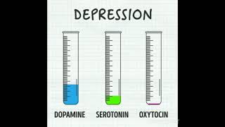 NEUROTRANSMITTER RELEASE IN BRAIN DURING HAPPINESS, DEPRESSION, ANXIETY & LOVE