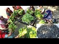 Fish Spinach Mashed | 10 KG Spotted Snakehead & 40 KG Spinach Cooking | Healthy & Tasty Village Food