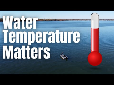 Water Temperature CHEAT SHEET For BASS FISHING // How Water Temp Can Help  You FIND Bass 