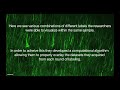 Imaging brain proteins