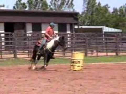 Stormy Indian star trotting barrels