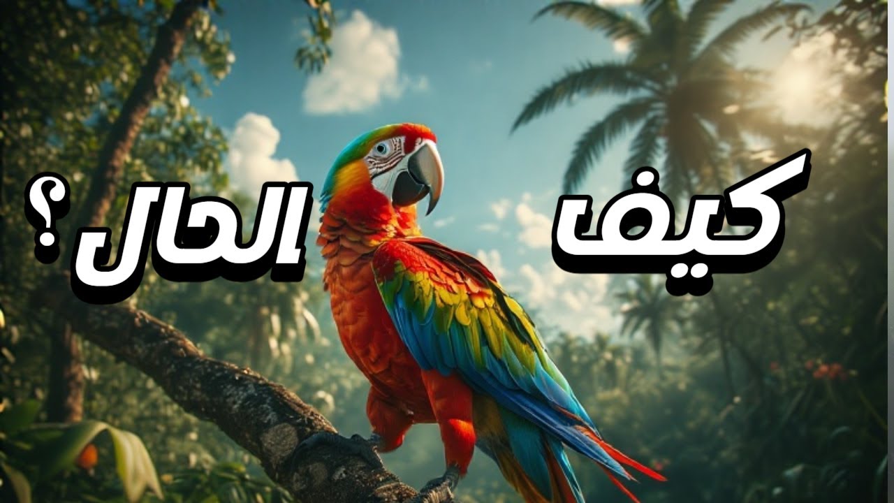YouTube youtube