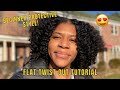 Detailed Flat Twist Tutorial on Wet Hair | Great Protective Style for Beginners!