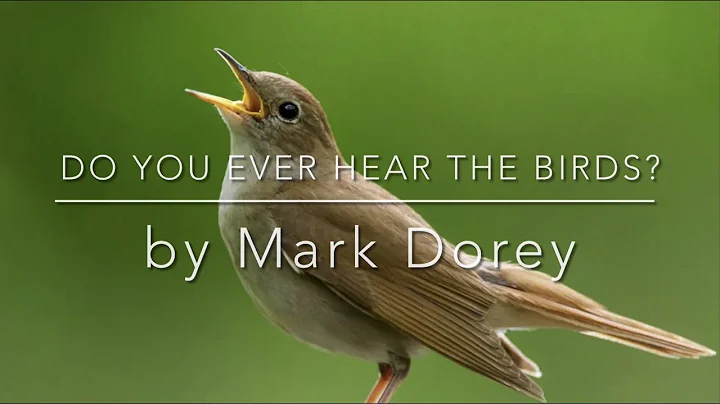 Do You Ever Hear The Birds? A Poem by Mark Dorey