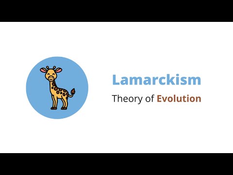 Lamarckism | Infographics | Theories of Evolution