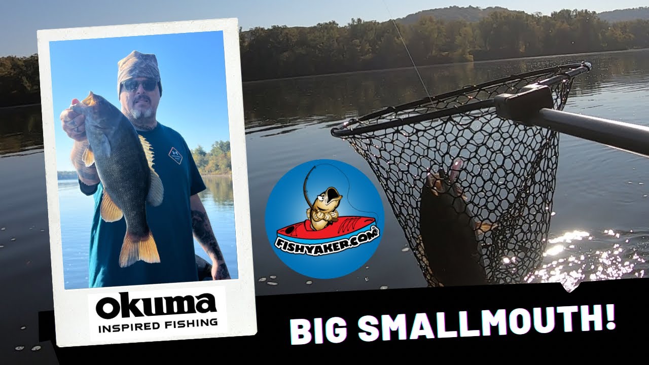 Big River Smallmouth Bass! #fishing #bassfishing #susquehannariver
